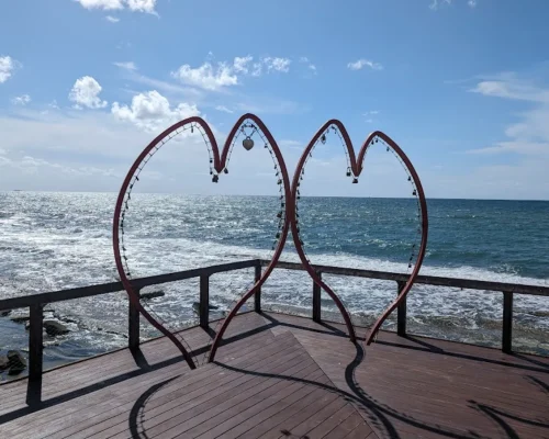 PXL_20240309_114220165.MP